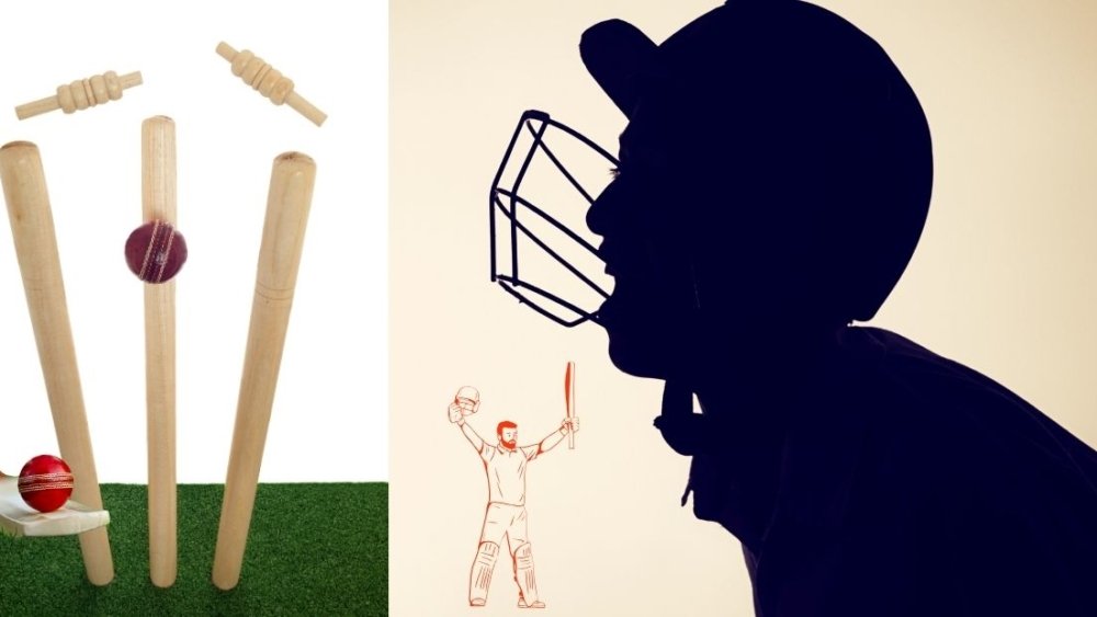 What Does Stumps Mean in Cricket