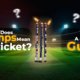 What Does Stumps Mean in Cricket
