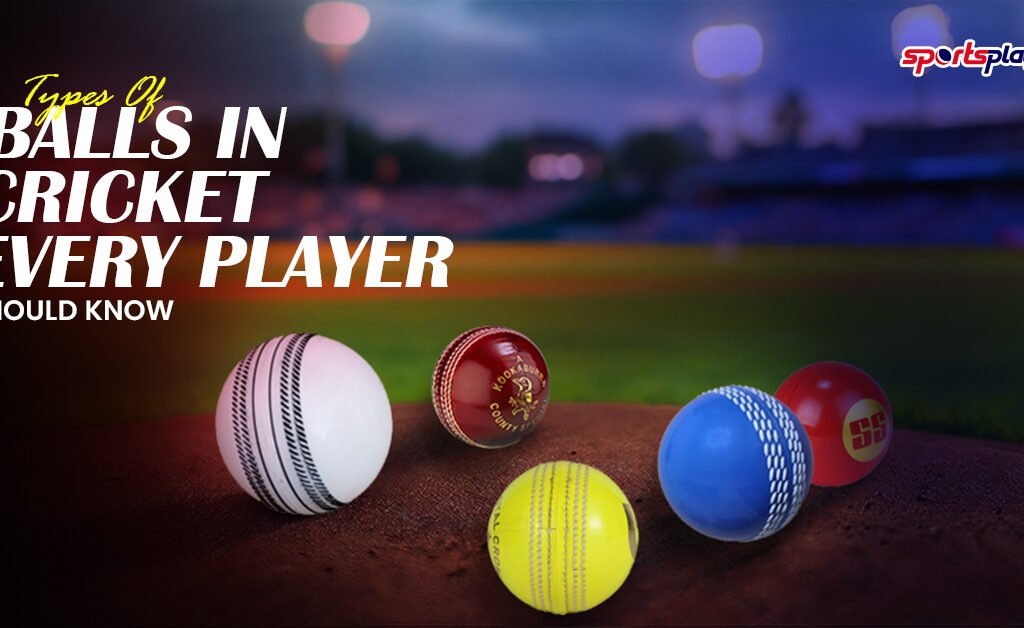 Types of Balls in Cricket