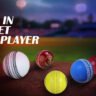 Types of Balls in Cricket