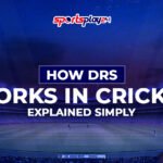 how DRS works in cricket