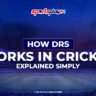 how DRS works in cricket