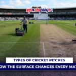 Types of Cricket Pitches