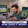 how fantasy cricket works