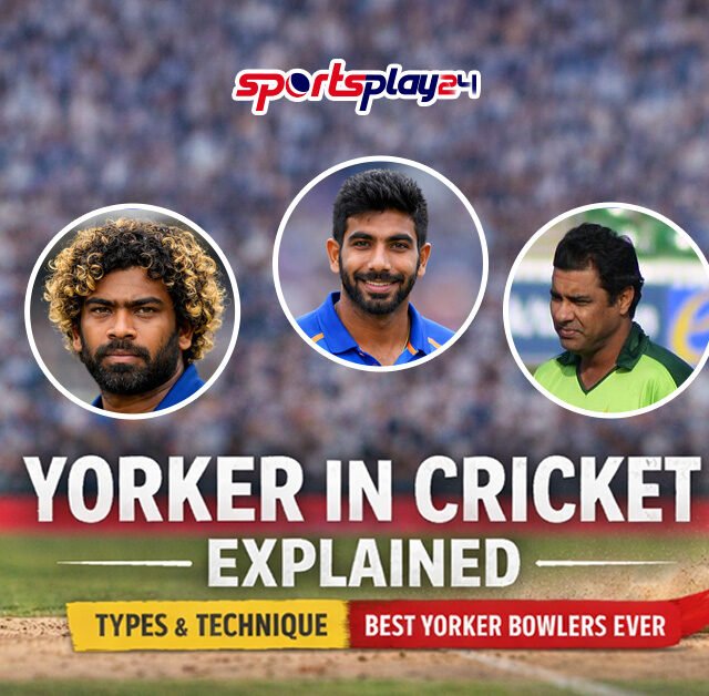 All Types of Cricket Shots You Need to Know